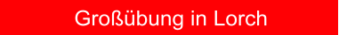 Grobung in Lorch