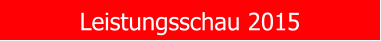 Leistungsschau 2015