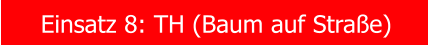 Einsatz 8: TH (Baum auf Stra�e)