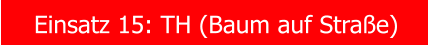 Einsatz 15: TH (Baum auf Stra�e)