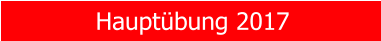 Haupt�bung 2017